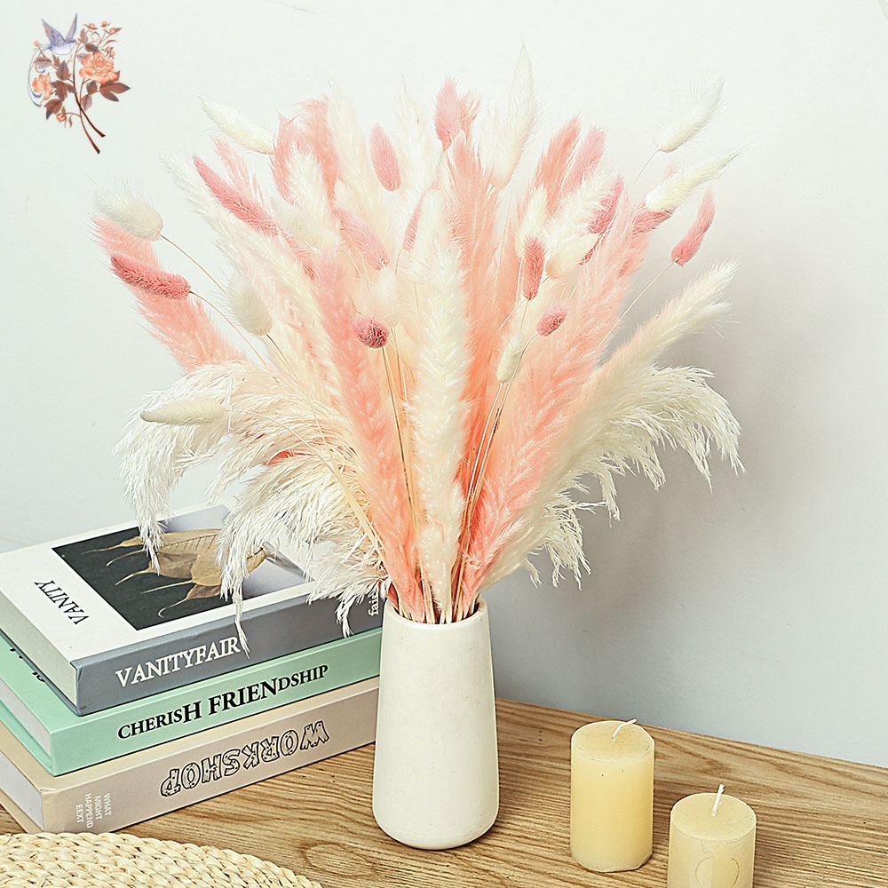 Dried Pampas Bundle - 62 Pieces White Reeds Pink Rabbit