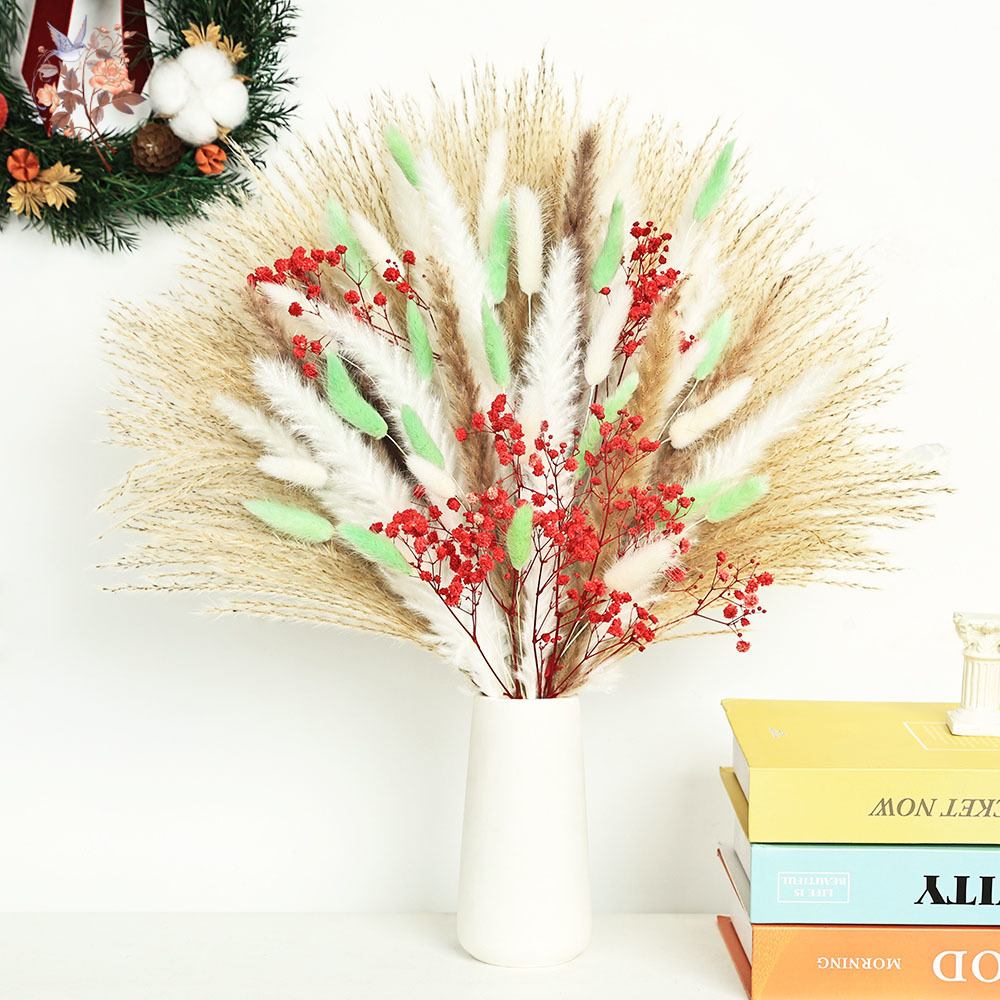 Dried Pampas Bundle - 70 Stems Fluffy Green Red Pampas