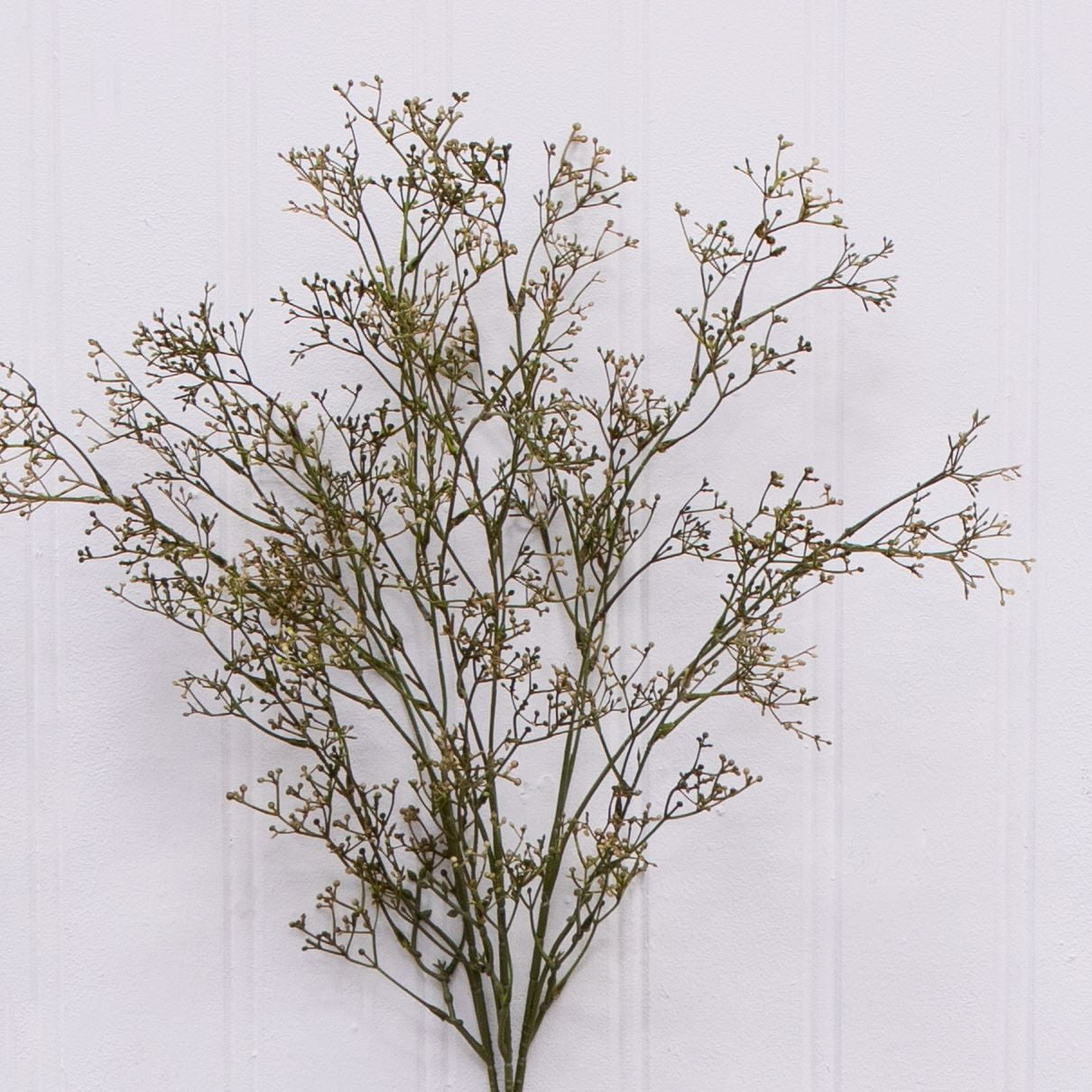 Artificial Dried Rice Stems fo - Dried Pampas Bundle recension och pris