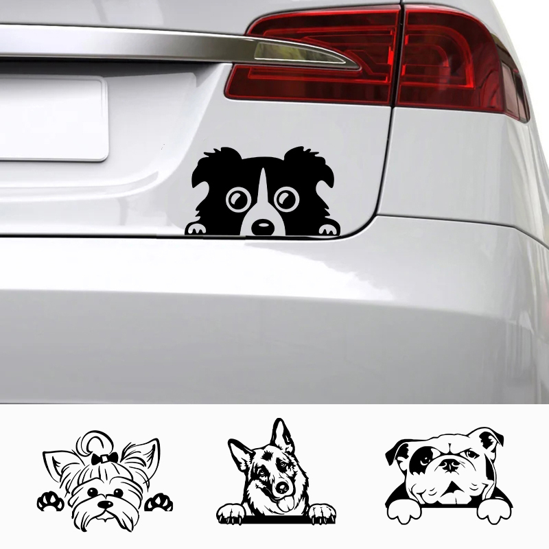 Cars Accessorie Decals Funny D - Interior Design Magazine recension och pris