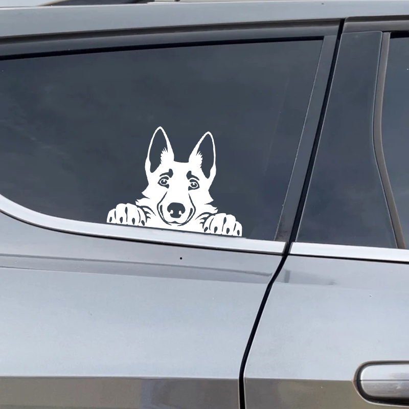 Cars Accessorie Decals Funny D - Interior Design Magazine recension och pris