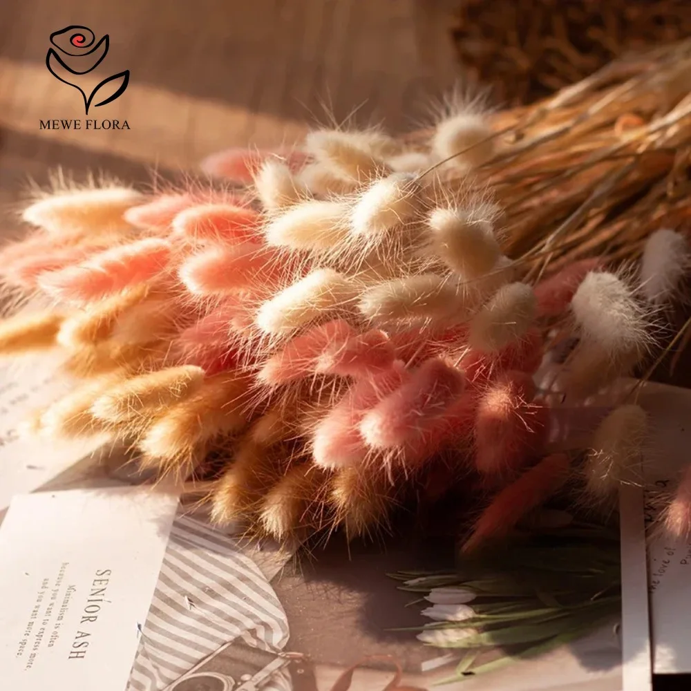 90pcs Mixed 3 Colors Bunny Tai - Dried Pampas Bundle recension och pris
