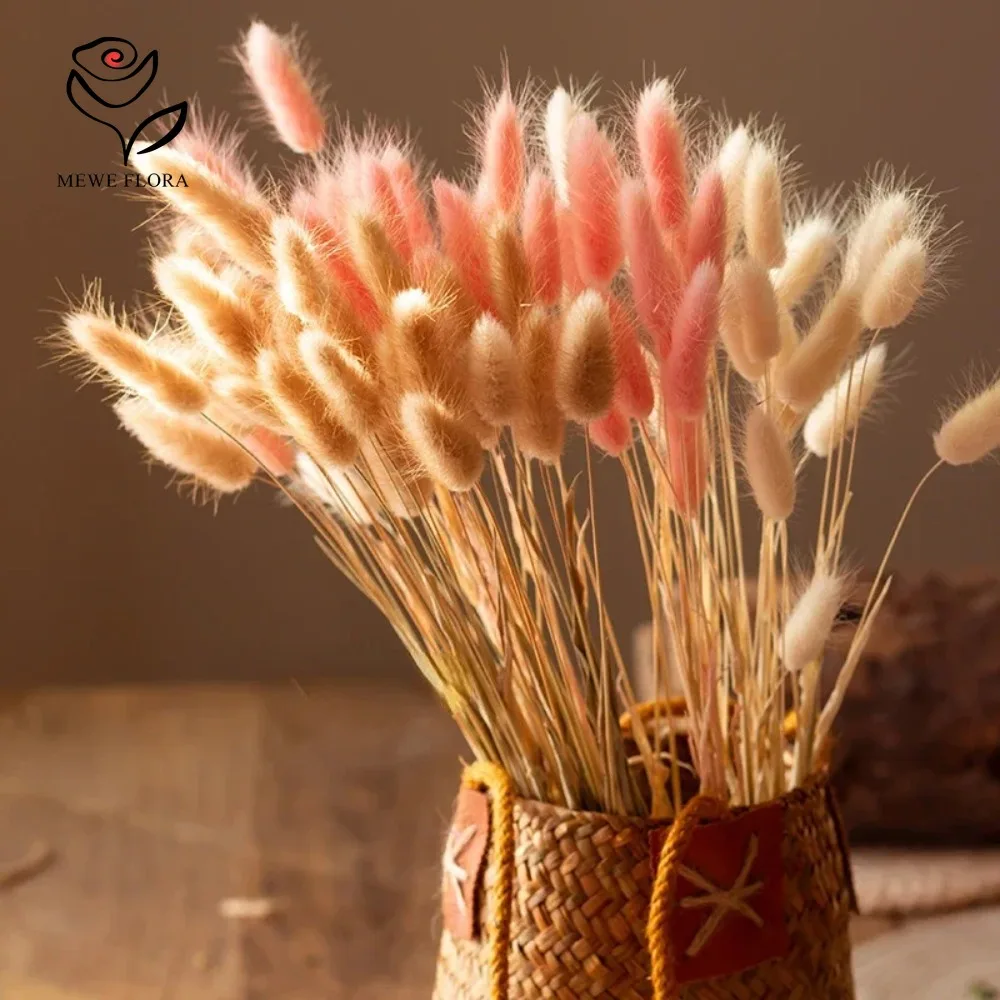 90pcs Mixed 3 Colors Bunny Tai - Dried Pampas Bundle recension och pris