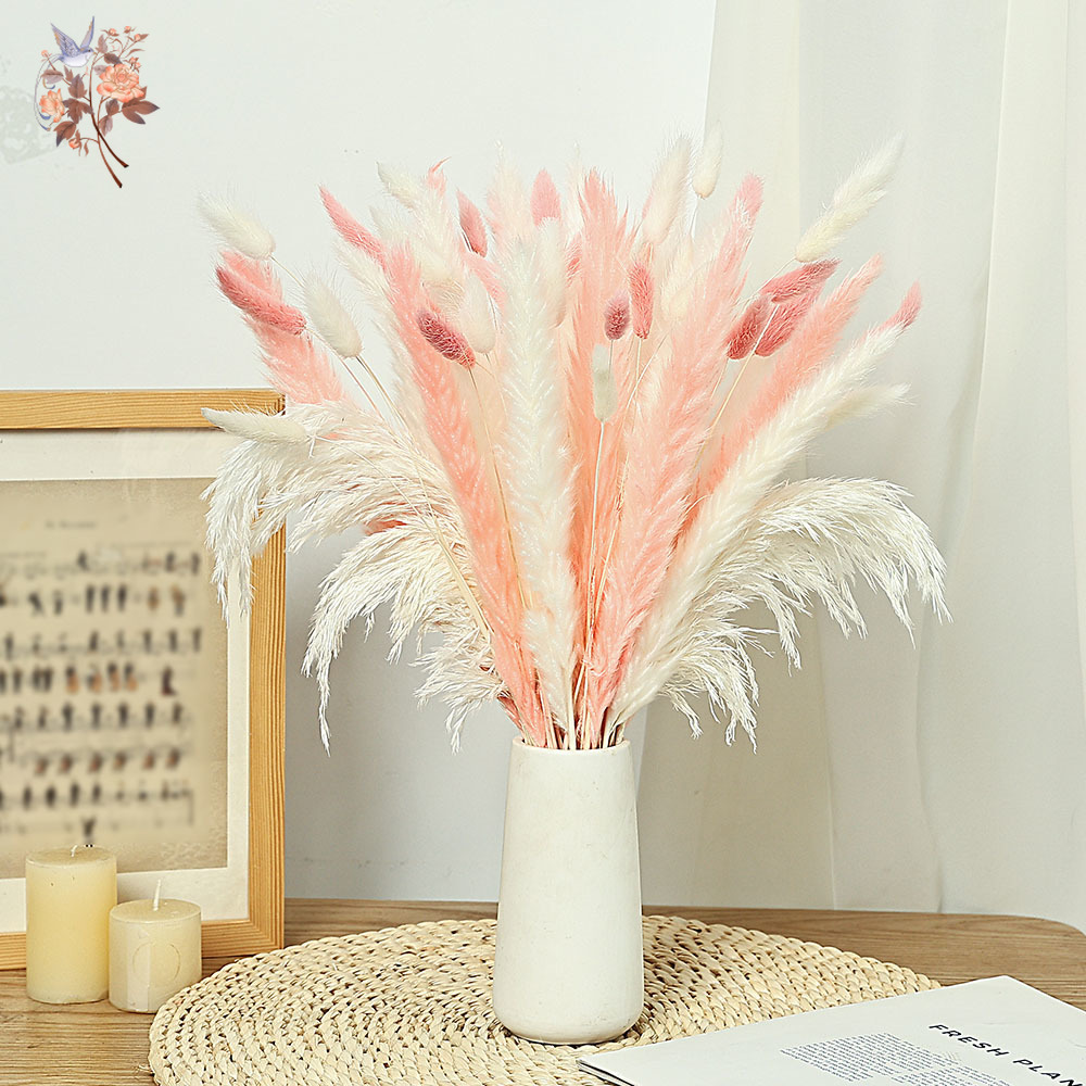 62 Pieces White Reeds Pink Rab - Dried Pampas Bundle recension och pris