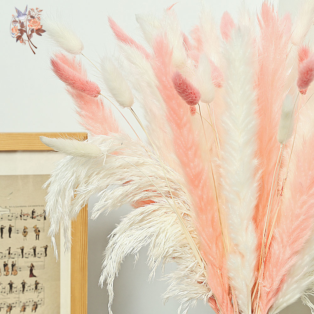 62 Pieces White Reeds Pink Rab - Dried Pampas Bundle recension och pris
