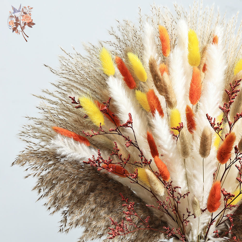 85 Pieces Natural Fluffy Autum - Dried Pampas Bundle recension och pris
