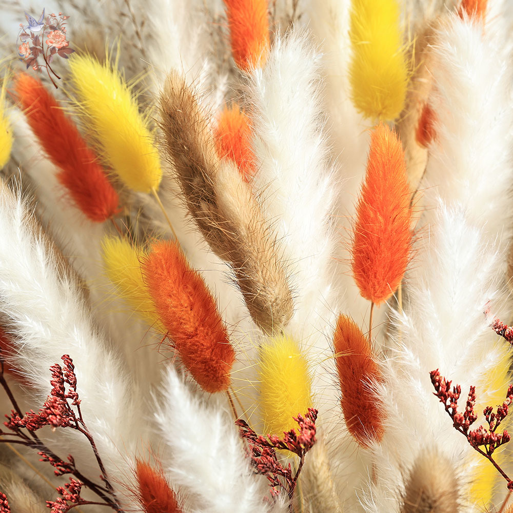85 Pieces Natural Fluffy Autum - Dried Pampas Bundle recension och pris