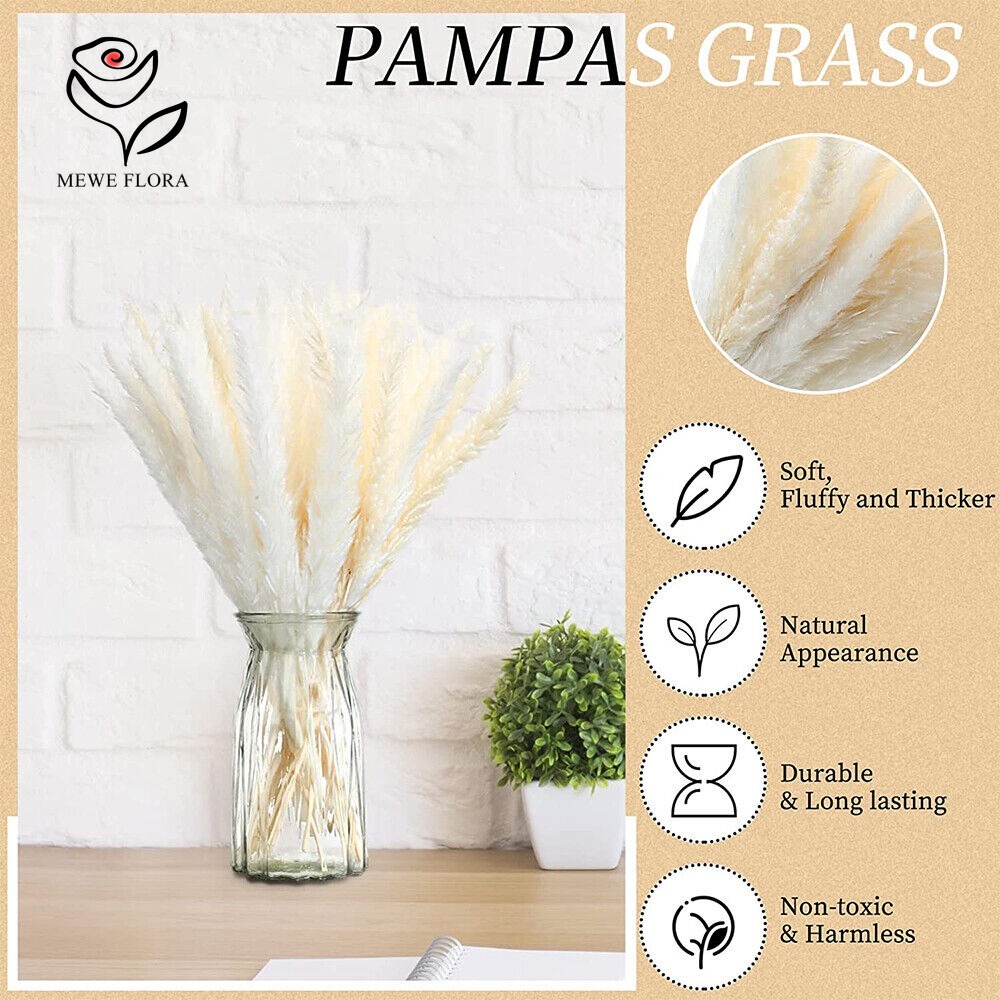 20pcs Fluffy Pampas Grass Reed - Dried Pampas Bundle recension och pris
