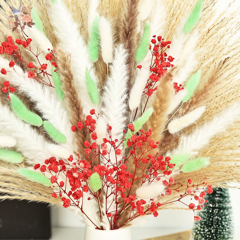 70 Stems Fluffy Green Red Pamp - Dried Pampas Bundle recension och pris