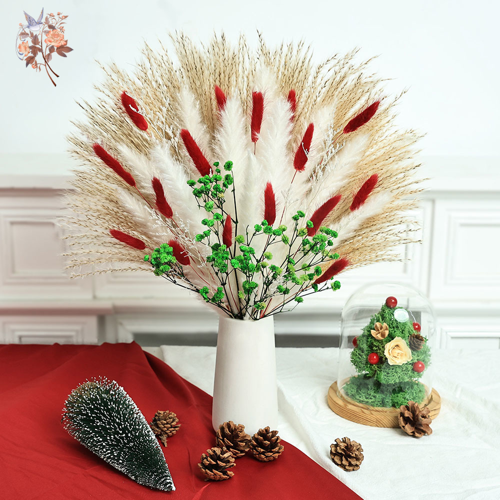55pcs Dried Flowers Bouquet Ch - Dried Pampas Bundle recension och pris