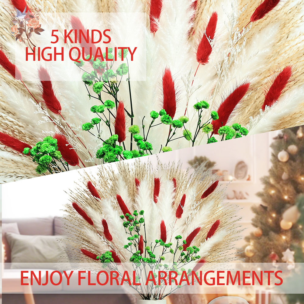 55pcs Dried Flowers Bouquet Ch - Dried Pampas Bundle recension och pris