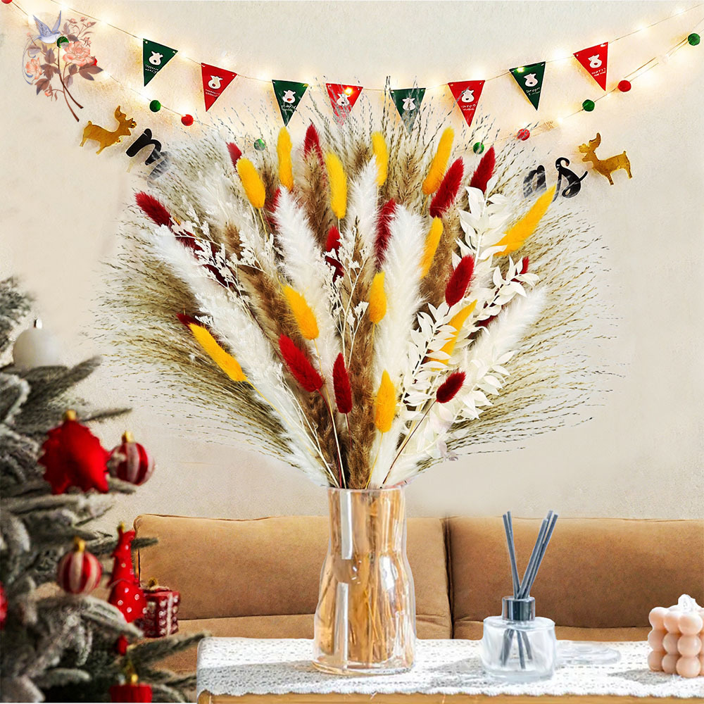 70 Stems Natural Fluffy Pampas - Dried Pampas Bundle recension och pris