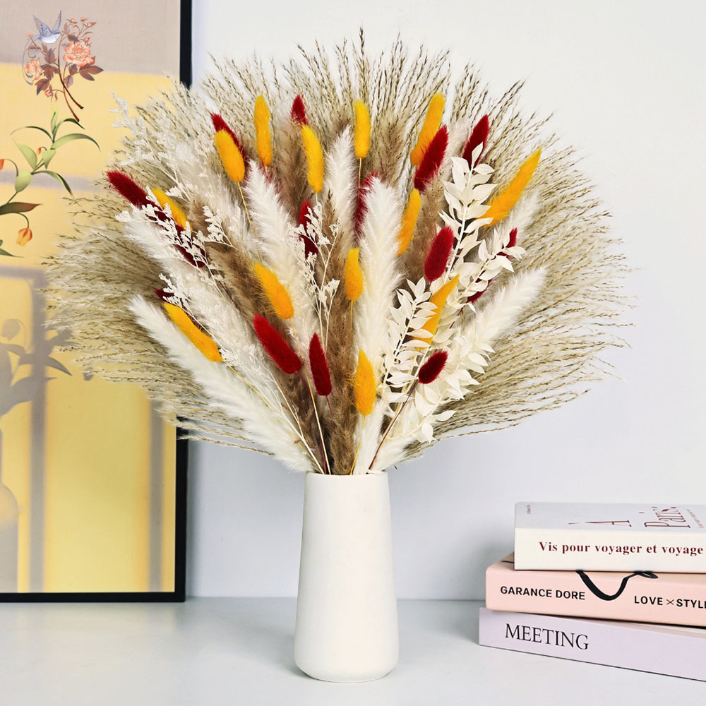 70 Stems Natural Fluffy Pampas - Dried Pampas Bundle recension och pris