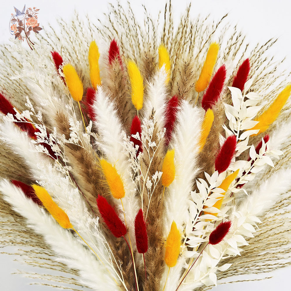 70 Stems Natural Fluffy Pampas - Dried Pampas Bundle recension och pris