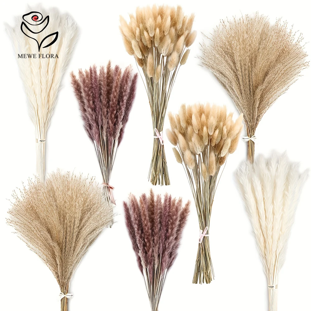 200Pcs Dried Pampas Bunny Tail - Dried Pampas Bundle recension och pris