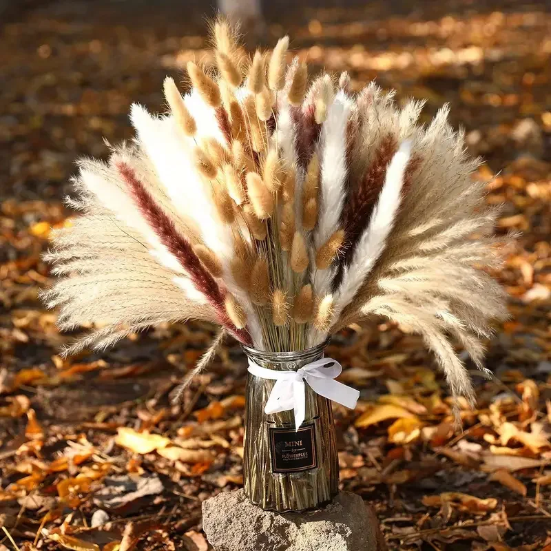 200Pcs Dried Pampas Bunny Tail - Dried Pampas Bundle recension och pris